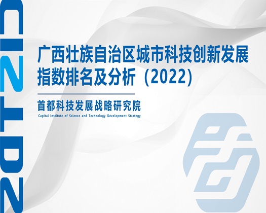 小嫩妇里面又嫩又紧的视频网站【成果发布】广西壮族自治区城市科技创新发展指数排名及分析（2022）